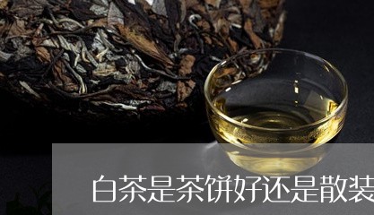 白茶是茶饼好还是散装的好/2023041517160