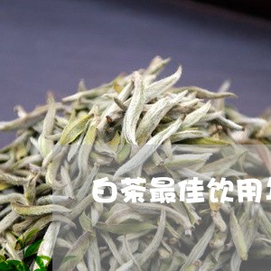 白茶最佳饮用年份是哪一年/2023041593927