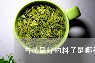 白茶最好的料子是哪种料子/2023041239393