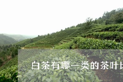 白茶有哪一类的茶叶比较好/2023041528248