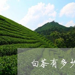 白茶有多少个品牌名茶图片/2023041671748