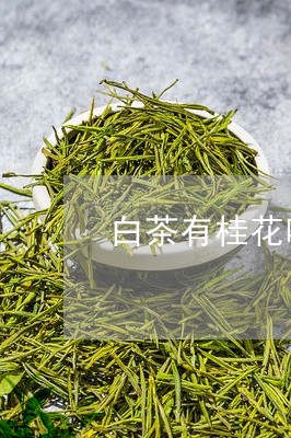 白茶有桂花味道好吗能喝吗/2023041280475