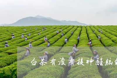 白茶有没有提神醒脑的功效/2023041258461