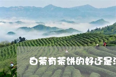 白茶有茶饼的好还是没有好/2023041543726