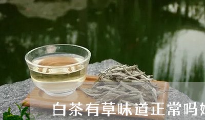 白茶有草味道正常吗好喝吗/2023041563836