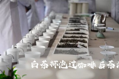 白茶杯泡过咖啡后茶渍没了/2023041606049