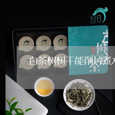 白茶树树干能削片煮水喝吗/2023041553049