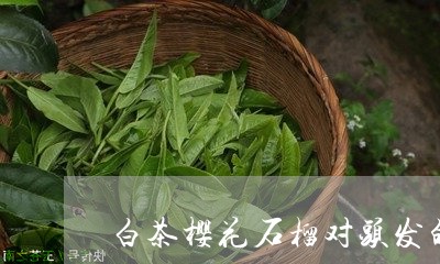 白茶樱花石榴对头发的用处/2023041593959