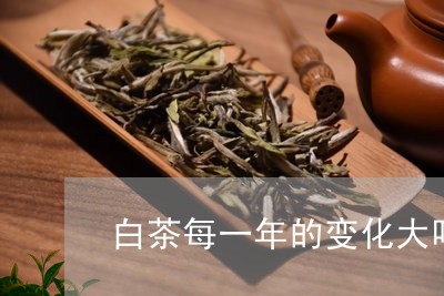 白茶每一年的变化大吗/2023041505949