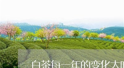 白茶每一年的变化大吗百度/2023041141717