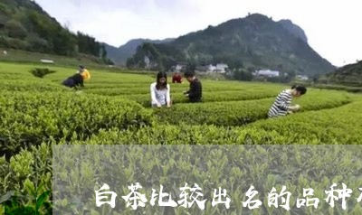 白茶比较出名的品种有哪些/2023041476250