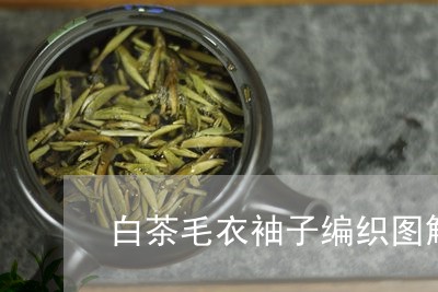 白茶毛衣袖子编织图解视频/2023041430282