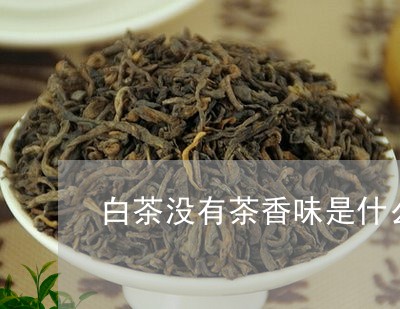 白茶没有茶香味是什么原因/2023041168260