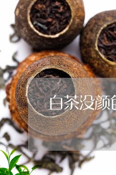 白茶没颜色是茶树不一样吗/2023041499393