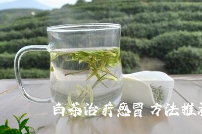 白茶治疗感冒方法推荐/2023041134835