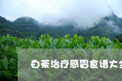 白茶治疗感冒食谱大全窍门/2023041116168