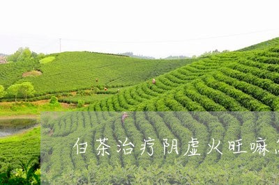 白茶治疗阴虚火旺嘛怎么喝/2023041478493