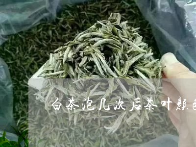 白茶泡几次后茶叶颜色深了/2023041593929