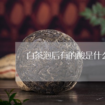 白茶泡后有的酸是什么原因/2023041598591