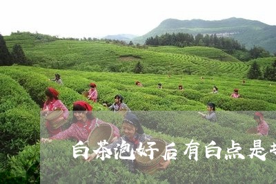 白茶泡好后有白点是坏了吗/2023041582624