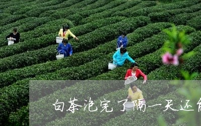 白茶泡完了隔一天还能喝吗/2023041131504