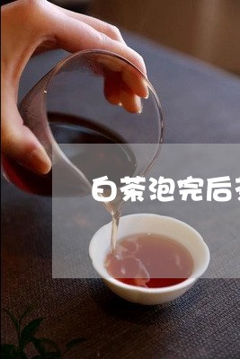 白茶泡完后茶底黄了怎么办/2023041528359