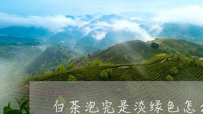 白茶泡完是淡绿色怎么回事/2023041518250