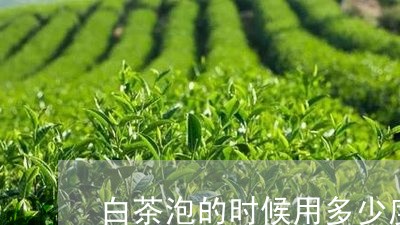 白茶泡的时候用多少度水温/2023041292939