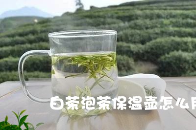 白茶泡茶保温壶怎么用视频/2023041278583