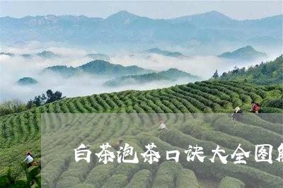 白茶泡茶口诀大全图解视频/2023041298263