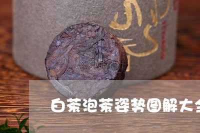 白茶泡茶姿势图解大全视频/2023041549694