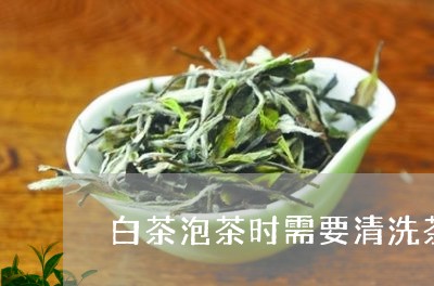 白茶泡茶时需要清洗茶叶吗/2023041202148