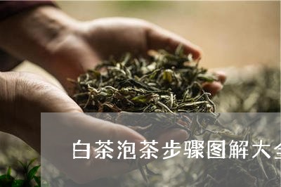 白茶泡茶步骤图解大全窍门/2023041225350