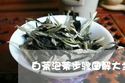 白茶泡茶步骤图解大全窍门/2023041520584