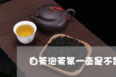 白茶泡茶第一壶是不是倒掉/2023041226059