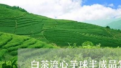 白茶流心芋球半成品怎么做/2023041240361