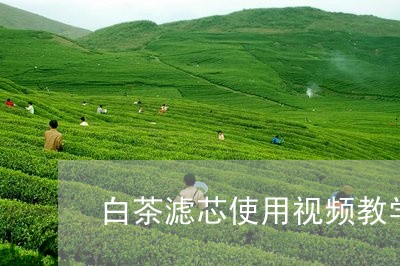 白茶滤芯使用视频教学讲解/2023041234938