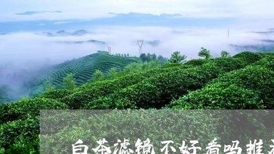 白茶滤镜不好看吗推荐/2023041292914