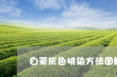 白茶灰色挑染方法图解女生/2023041294028