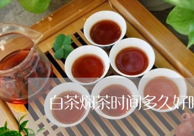 白茶焖茶时间多久好喝一点/2023041559505