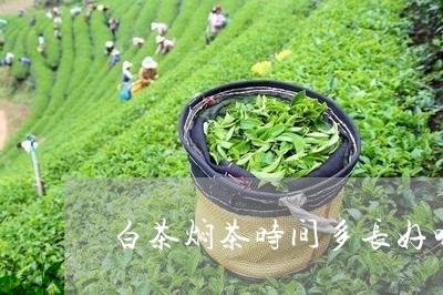 白茶焖茶时间多长好喝一点/2023041124158