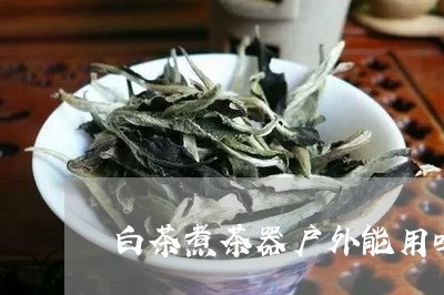 白茶煮茶器户外能用吗视频/2023041239380