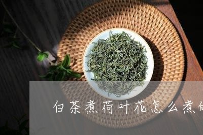 白茶煮荷叶花怎么煮的好喝/2023041297274