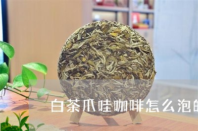 白茶爪哇咖啡怎么泡的好喝/2023041268590