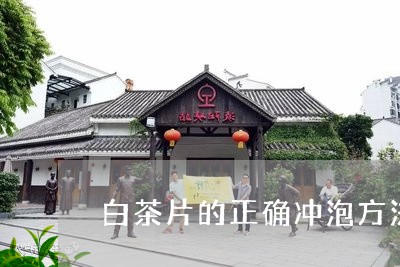 白茶片的正确冲泡方法视频/2023041240824