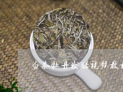 白茶牡丹发酵视频教程简单/2023041205937