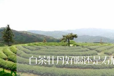 白茶牡丹好喝还是寿眉好喝/2023041263257