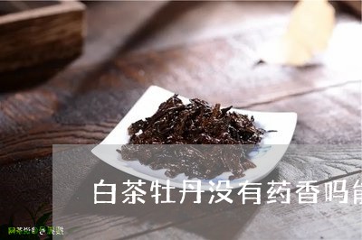 白茶牡丹没有药香吗能喝吗/2023041257475