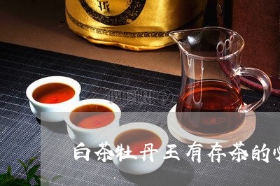 白茶牡丹王有存茶的必要吗/2023041591926