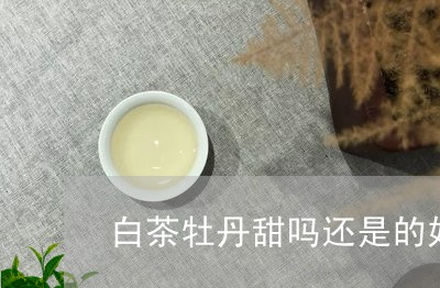 白茶牡丹甜吗还是的好喝/2023041561573